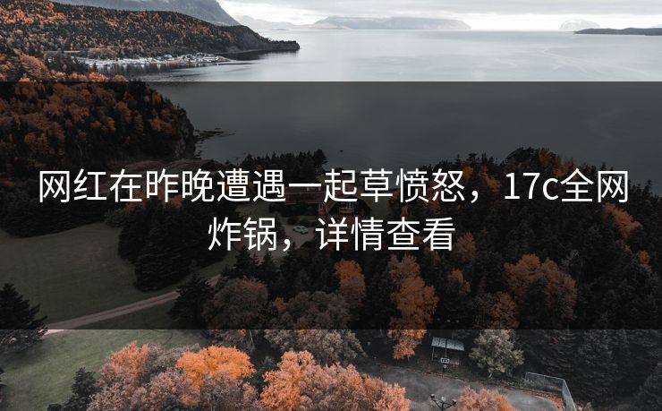 网红在昨晚遭遇一起草愤怒，17c全网炸锅，详情查看